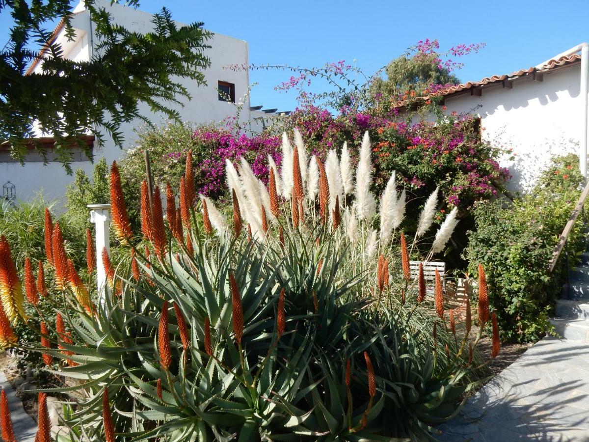Finca Florida San Miguel de Abona Kültér fotó